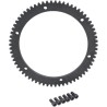 OEM-Replacement Starter Ring Gear