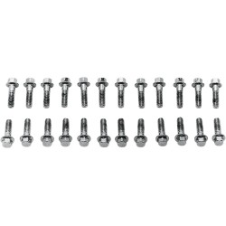 Valve Cover Screw Kit