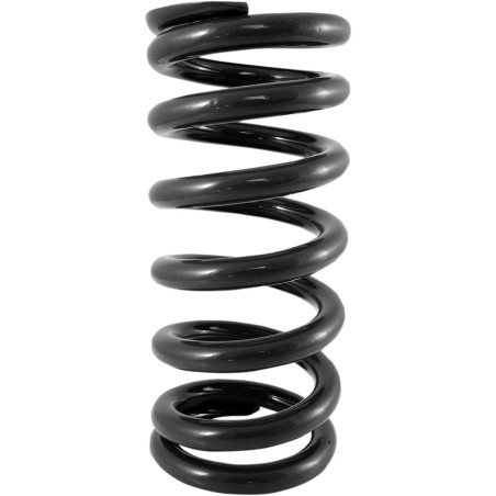 Rear Shock Spring Kit