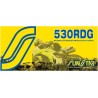 530 RDG Drive Chain