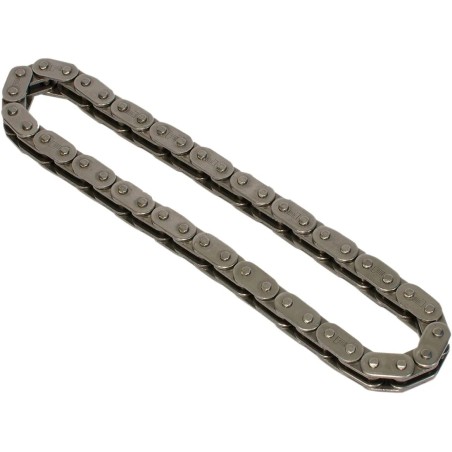 Cam Chain