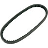 Scooter Transmission Belt