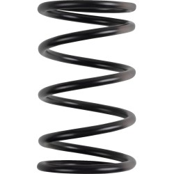Polaris Primary Clutch Spring