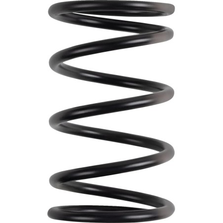 Polaris Primary Clutch Spring