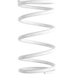 Polaris Primary Clutch Spring