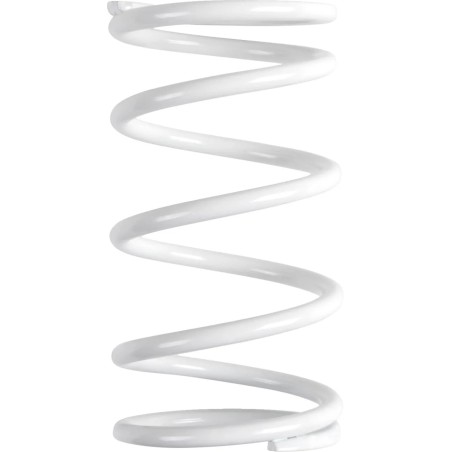 Polaris Primary Clutch Spring