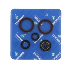 Oil Seal