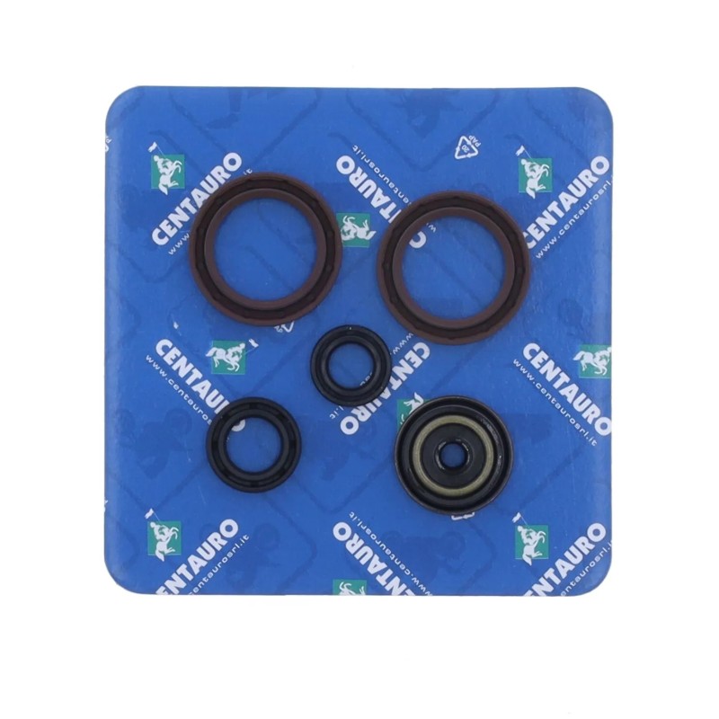 Oil Seal