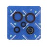 Oil Seal