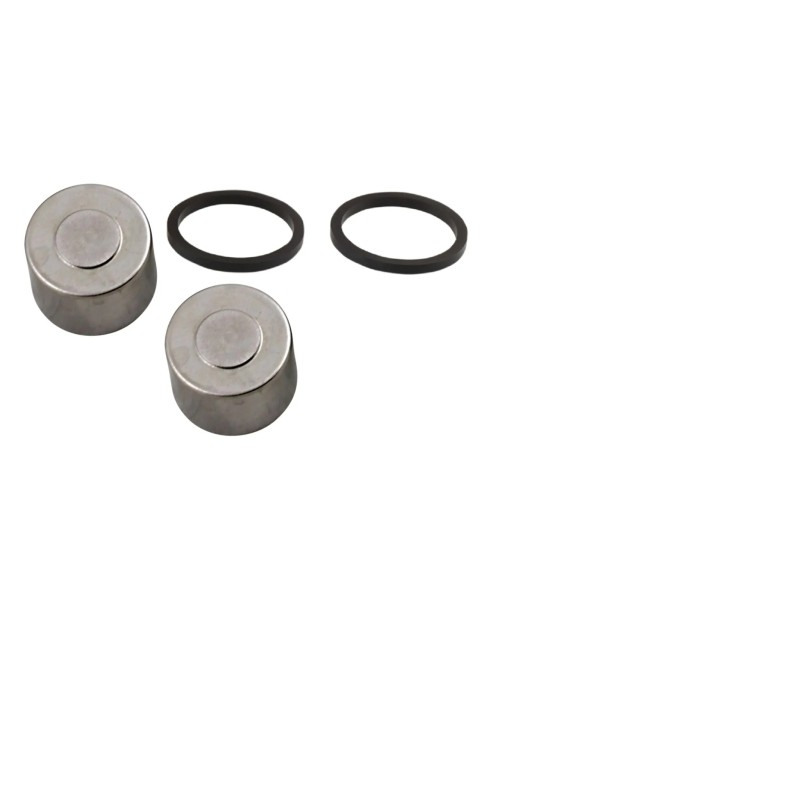 Kit de révision pour étrier à pistons