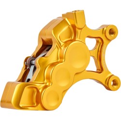 6-Piston Caliper