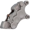 6-Piston Caliper