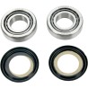 Steering Stem Bearing Kit