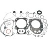 Complete Gasket and Oil Seal Kit