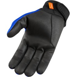 Anthem 2 CE  Gloves