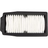 Replacement OE Air Filter