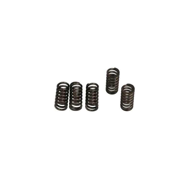 CSK Clutch Spring Set