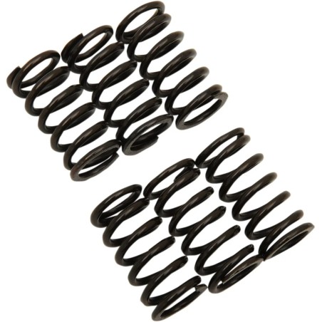 Clutch Spring Kit