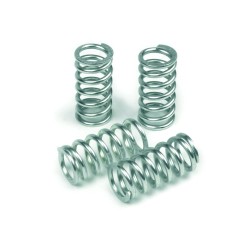 Clutch Spring Kit