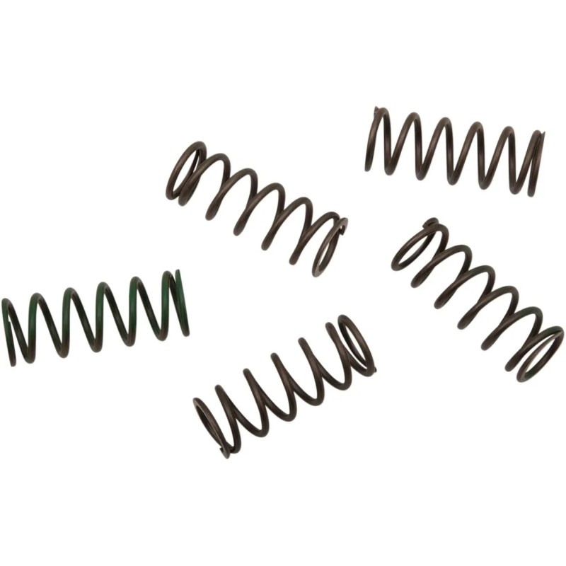 Hi-Temp Clutch Spring Kit