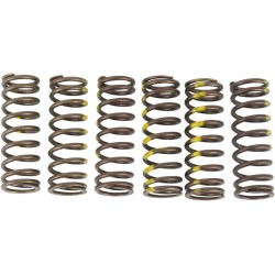 Clutch Spring Set