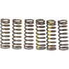 Clutch Spring Set