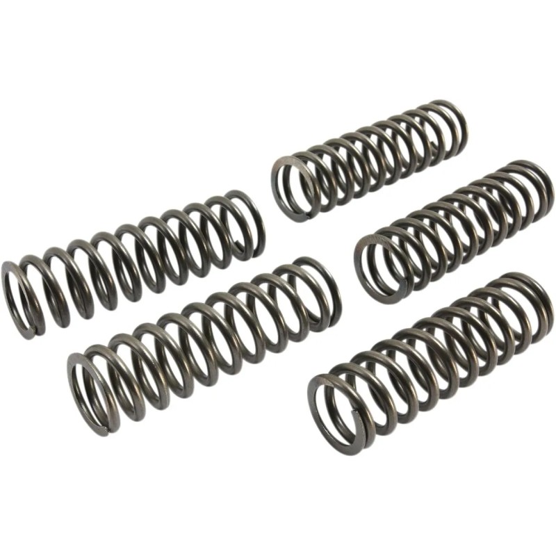 CSK Clutch Spring Set