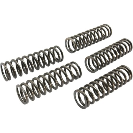 CSK Clutch Spring Set