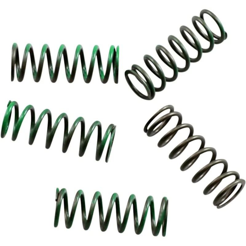 Hi-Temp Clutch Spring Kit