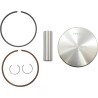 Piston Kit for 2 Stroke