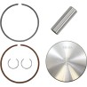 Piston Kit for 2 Stroke