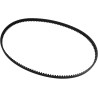 Rear Drive Belt