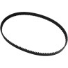 Rear Drive Belt