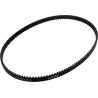 Rear Drive Belt
