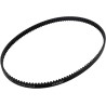 Rear Drive Belt