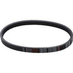 G-Force RedLine  Drive Belt