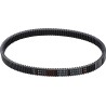 G-Force RedLine  Drive Belt