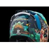 Airflite  Pleasuredome 4 Helmet