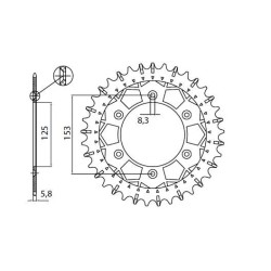 Works Z Steel Rear Sprocket