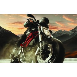 Disque de frein fixe PRIME Serie Oro