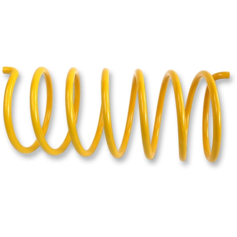 Secondary Clutch Spring