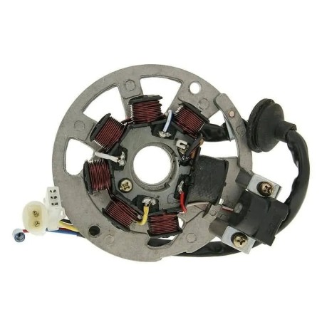 Alternator Rotor