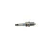 Resistor Spark Plug