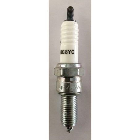 Champion Spark Plugs   Standard And Resistor Types