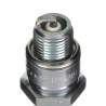 Resistor Spark Plug