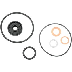 Water Pump Repair Gasket Kit