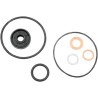 Water Pump Repair Gasket Kit