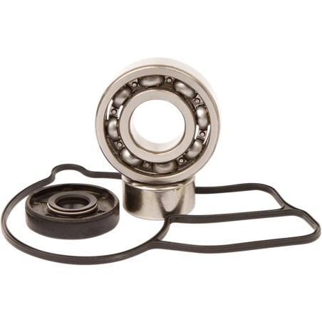 Water Pump Repair Kit