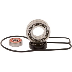 Water Pump Repair Kit