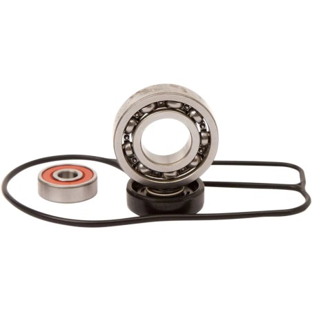 Water Pump Repair Kit